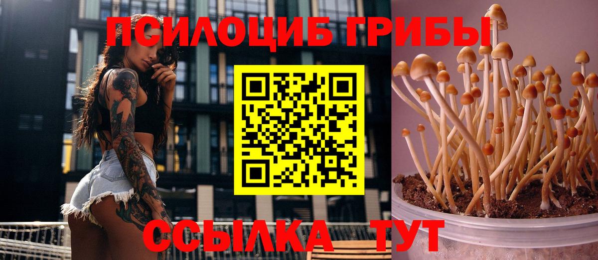 Псилоцибиновые грибы Армавир