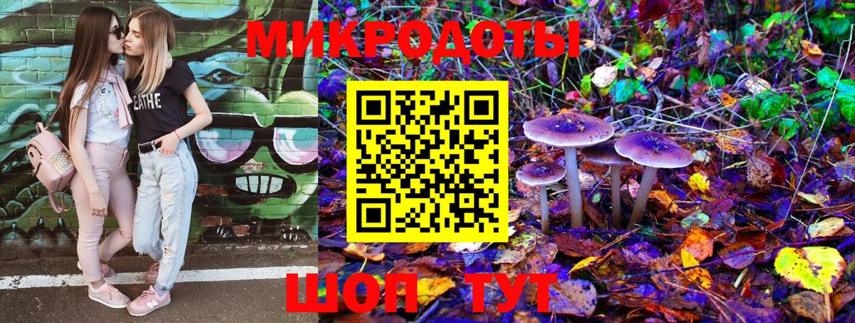 Галлюциногенные грибы Psilocybine cubensis Армавир